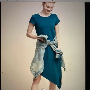 Unique Anthropologie Holding Horses Dress